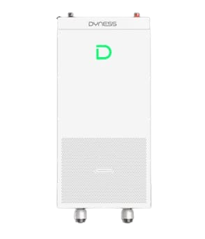 16.07kw Dyness powerbrick Max