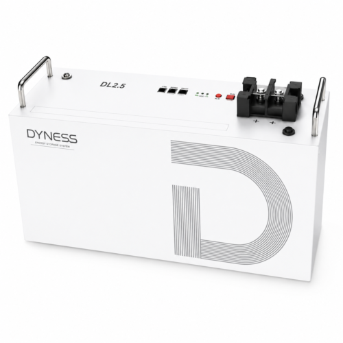 Dyness 24V 100Ah 2.56Kw DL2.5 Lithium Battery